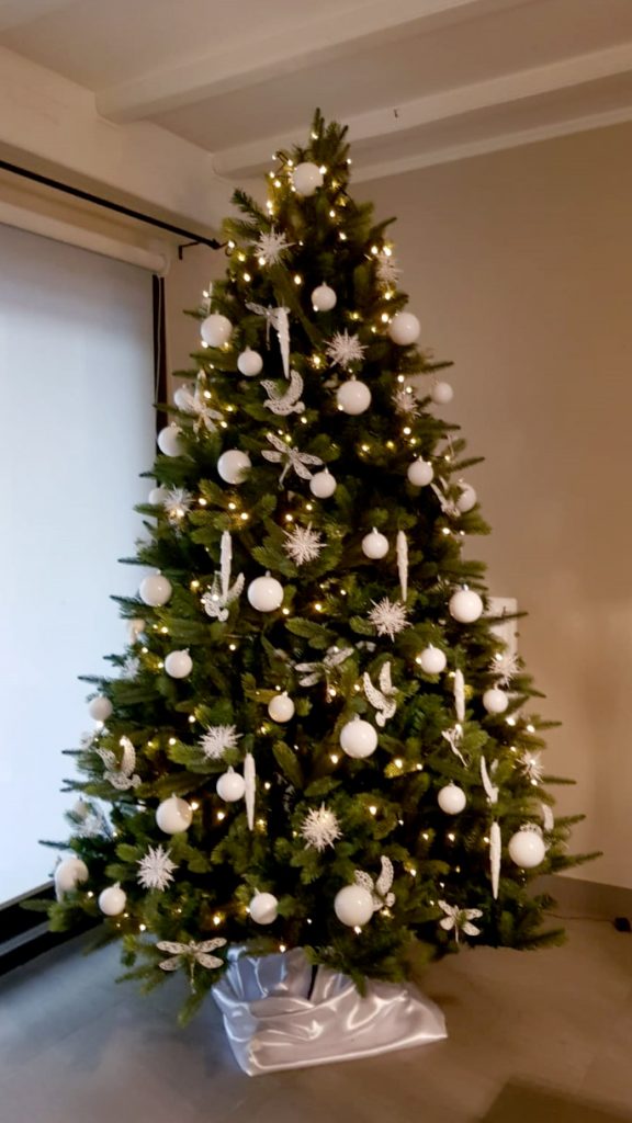 Overzicht kerstbomen – Kerstbomen verhuur – Kerstbomen | De Kerstboomspecialist
