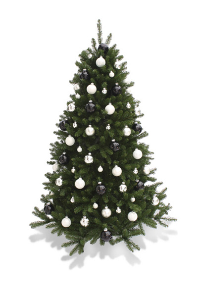 vuurwerk Kleren zone Zwart wit zilver – Kerstbomen verhuur – Kerstbomen huren | De  Kerstboomspecialist